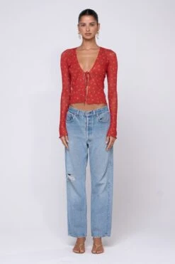 Aliyah Mesh Top In Cayenne