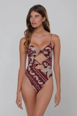 Ally One Piece Swimsuit In Bronco