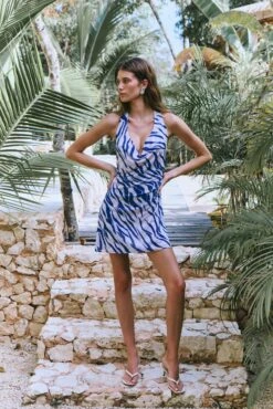 Bruna Dress In Athens