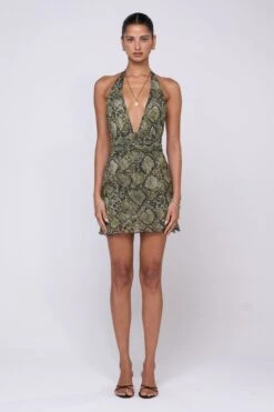 Clint Dress In Venom