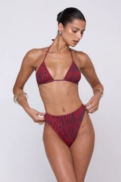 Miles Bikini Bottom In Vixen