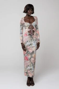 Simone Dress In Damsel -Resa simone dress in damsel 719556