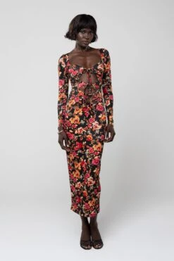 Simone Dress In Rosie