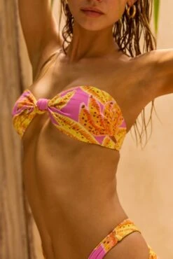 Spencer Bikini Top In Chiquita